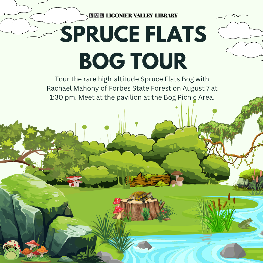 Tour the Spruce Flats Bog with Us!