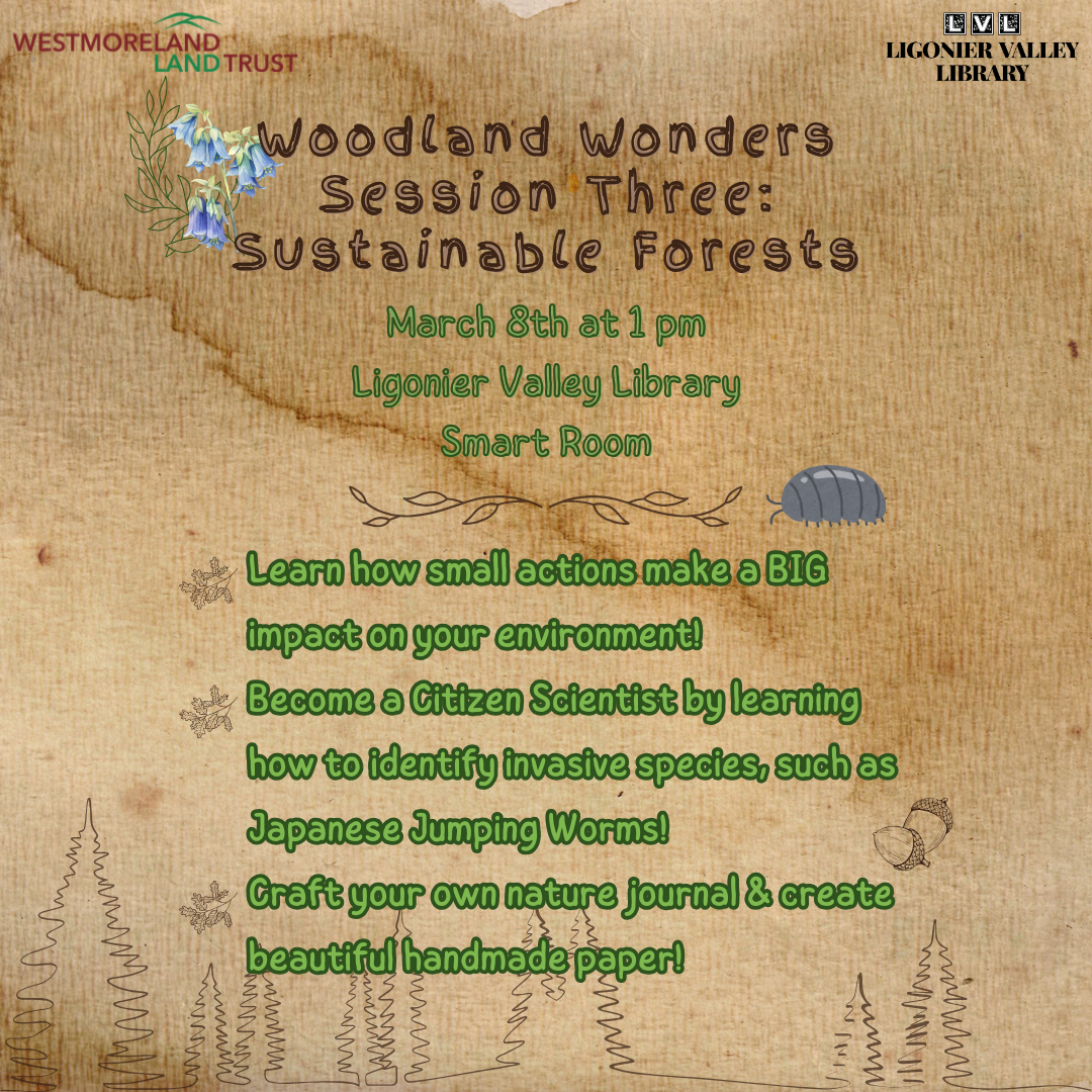 Woodland Wonders: Session 3