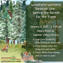 Woodland Wonders Session One: Seeing the Forest for the Trees. January 11th, 2025 1-2:30pm. Smart Room at Ligonier Valley Library. Learn how to identify different leaves and trees! Enjoy singing songs and doing arts and crafts, Foster White Pine saplings 